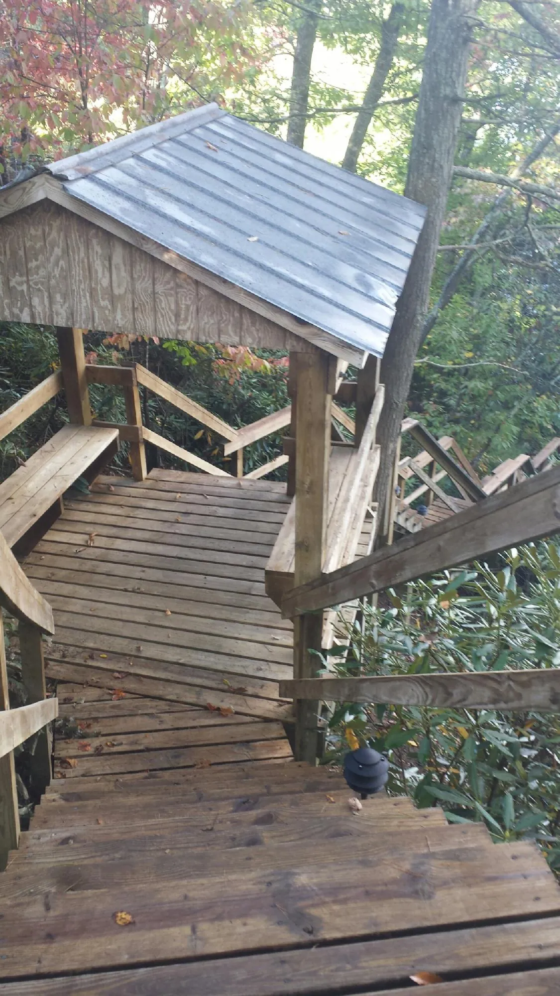 Metal roofed shelter over wooden steps on a wooded walkway — Skylight Repair & Installation work by our crew in Wanamingo